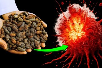 One Food Activates Your Anti-Cancer Shields Naturally