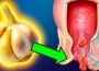 This Garlic Mistake Destroys All Its Health Benefits (Almost No One Knows)