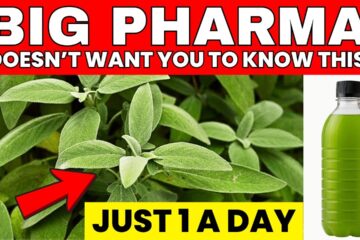 Just 1 Leaf Destroys Diabetes, Belly Fat and Bad Cholesterol (Backed by Science!)