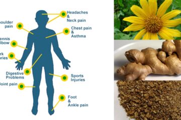 6 Herbal Remedies for Natural Pain Relief