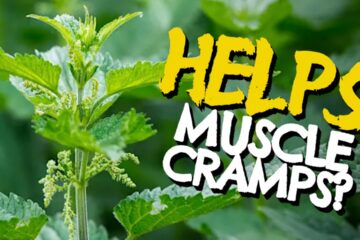 7 Wild Plants Richer in Magnesium Than Kale | Natural Sleep, Muscle & Bone Support